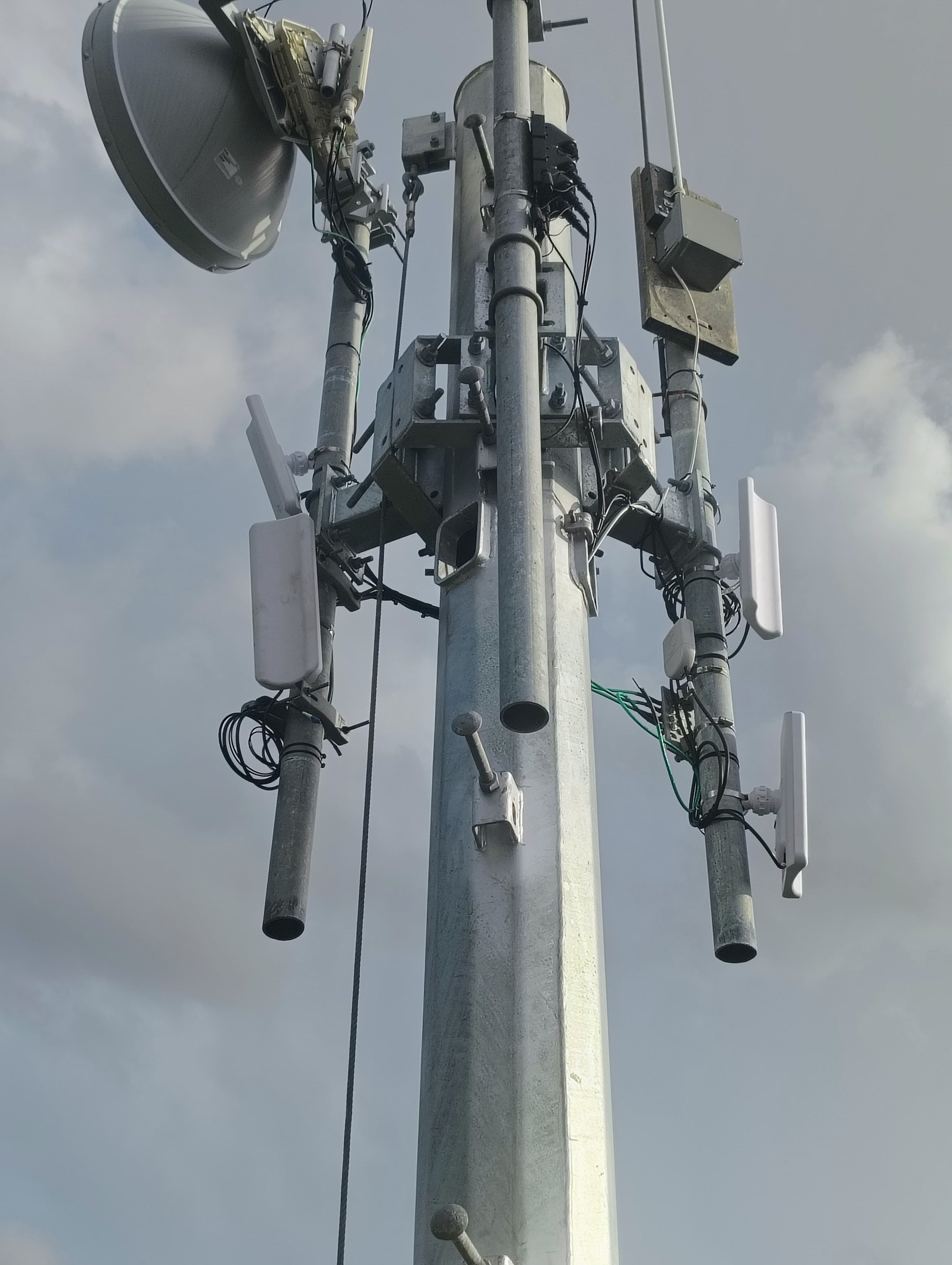 Unifi Bridge Pro antennas mounted on monopole at Corkscrew Swamp Sanctuary